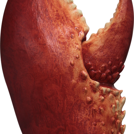 Lobster Claws