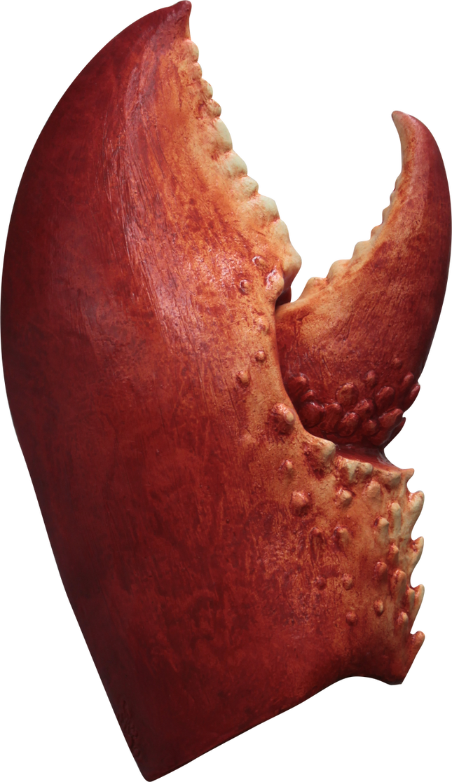 Lobster Claws