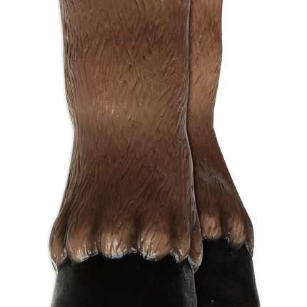 Brown Horse Hooves (Hands)