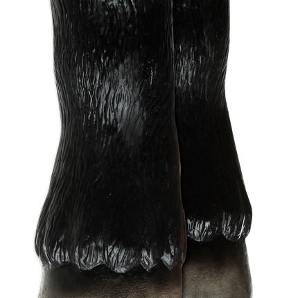 Black Horse Hooves (Hands)
