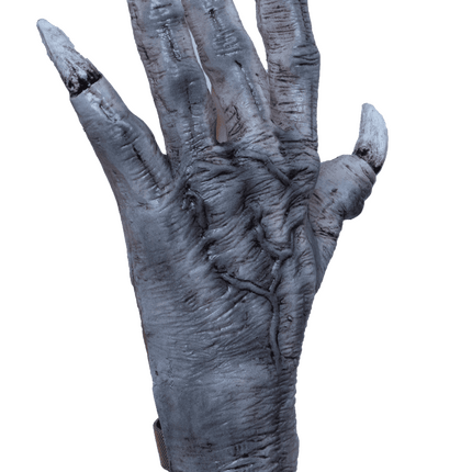 Kurten Claws- angled view 2