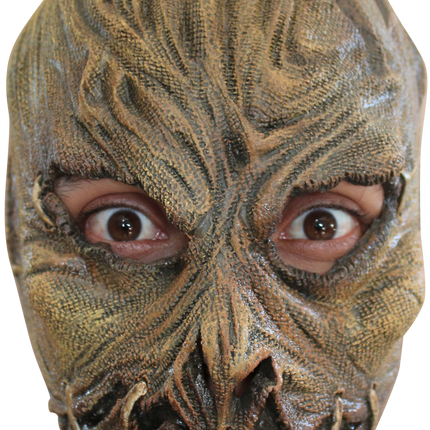 Scarecrow (Junior) Mask