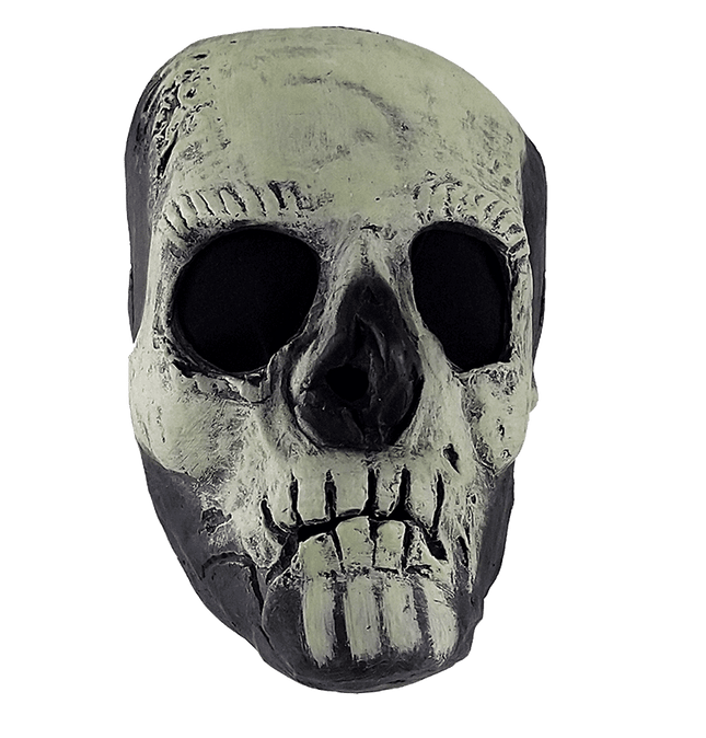 Glow in the Dark Skull Mask- front view 2