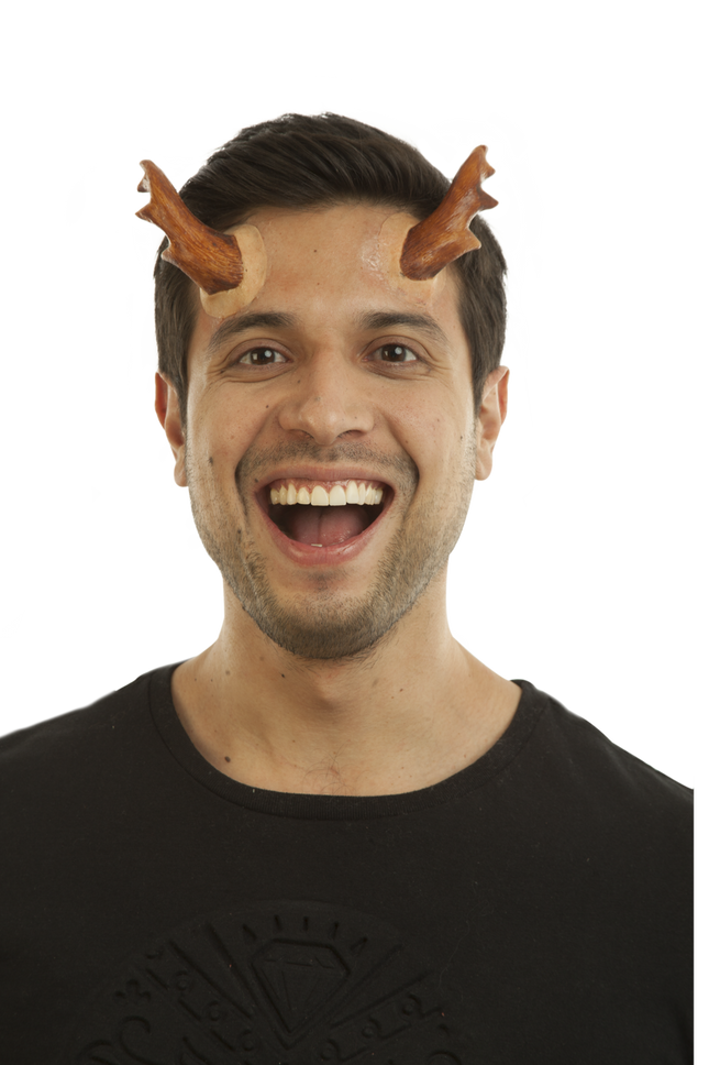 Appliance - Deer Horns
