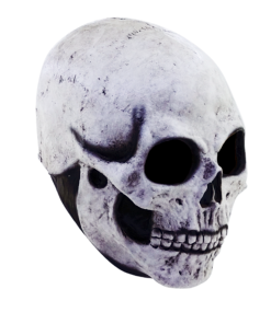 Skull Mask- angled view