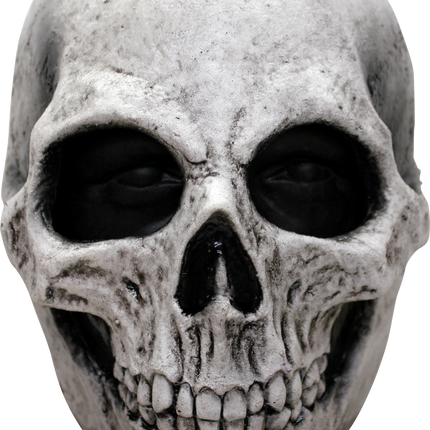 Skull Mask- front view
