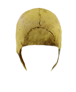 Bone Skull Mask- back view