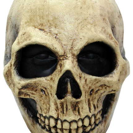 Bone Skull Mask- front view