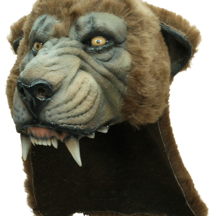 Cougar Helmet