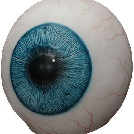 Eye Image