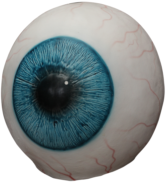 Eye Image