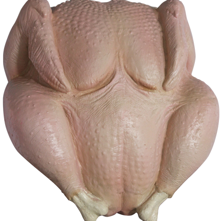 Raw Turkey Image