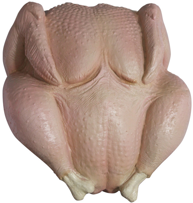 Raw Turkey Image