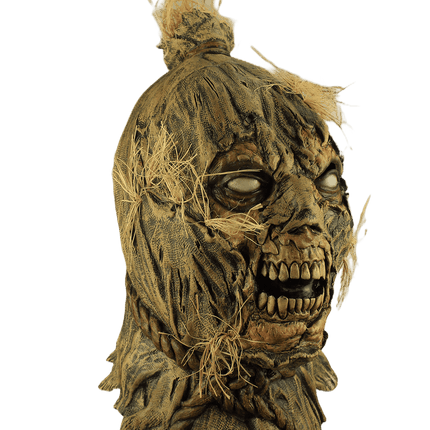 Scareborn Mask- angled view