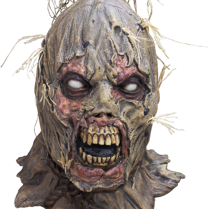 Scareborn Mask- front view