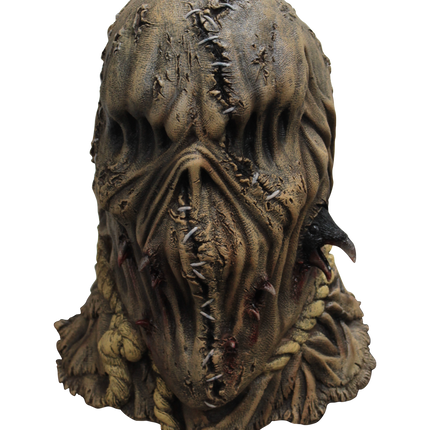 Scare the Crows Mask- front view