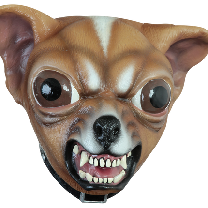 Chihuahua Mask