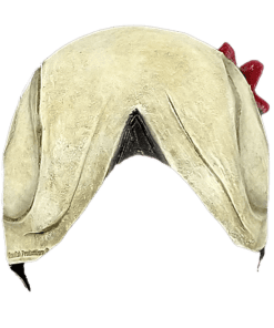La Señorita Mask- back view
