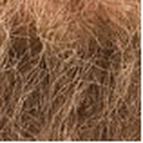 Blond