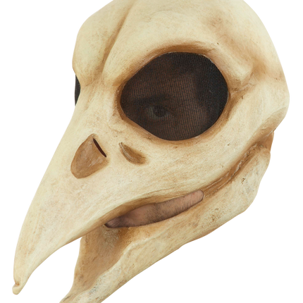 Raven Skull Mask