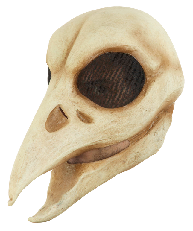 Raven Skull Mask