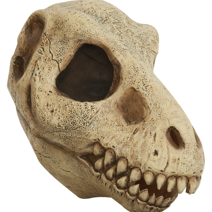 T-Rex Skull Mask