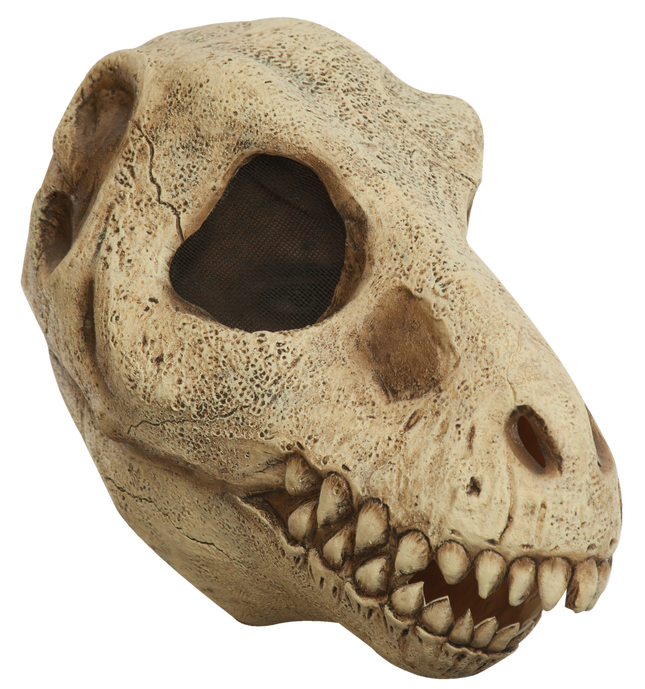 T-Rex Skull Mask