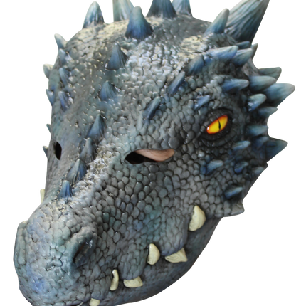 Winter Dragon Mask