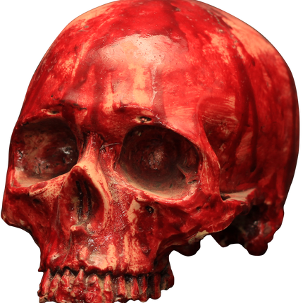 Bloody Skull Resin Prop