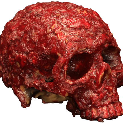 Bloody Scab Skull Resin Prop