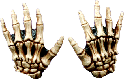 Junior Skeleton Hands