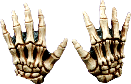 Junior Skeleton Hands