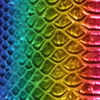 Multi-Color / 6