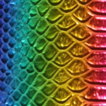 Multi-Color