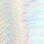 Silver / 6