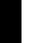 Black/ White