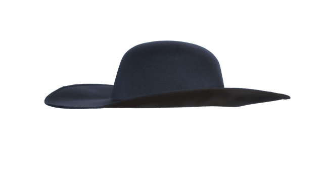 Doctor Peste Hat