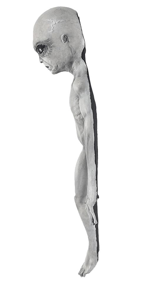 Area 51 Alien Prop- side view