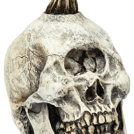 Cyclops Skull Prop