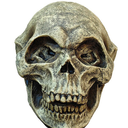 Alien Skull Latex Prop- front view