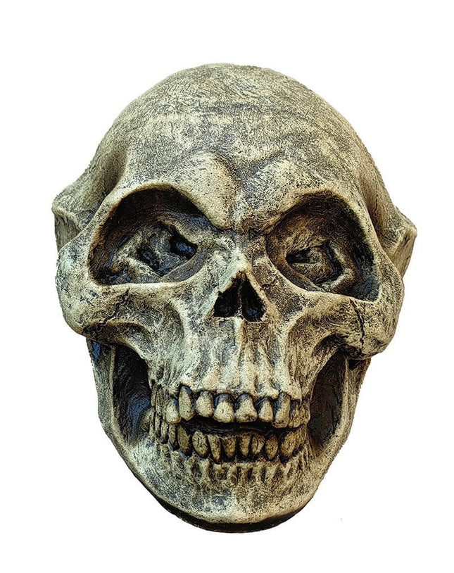 Alien Skull Latex Prop- front view