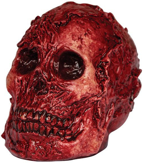 Fleshy Skull Prop