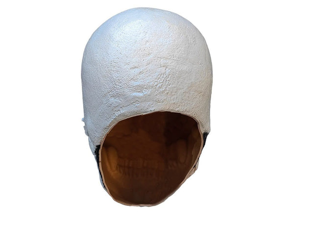Blue Sugar Skull Prop- back view