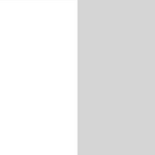 White/ Silver