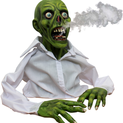 Green Zombie Display Image