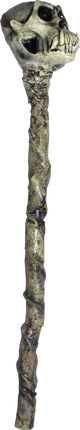 Voodoo Staff