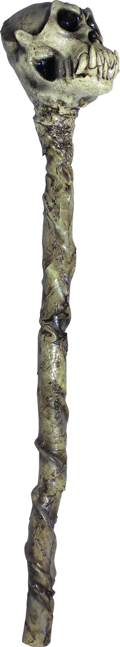 Voodoo Staff