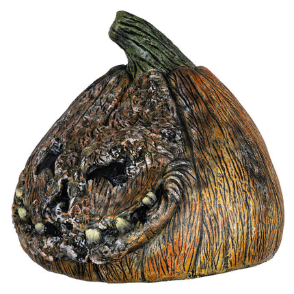 Rotten Pumpkin 4- angled view