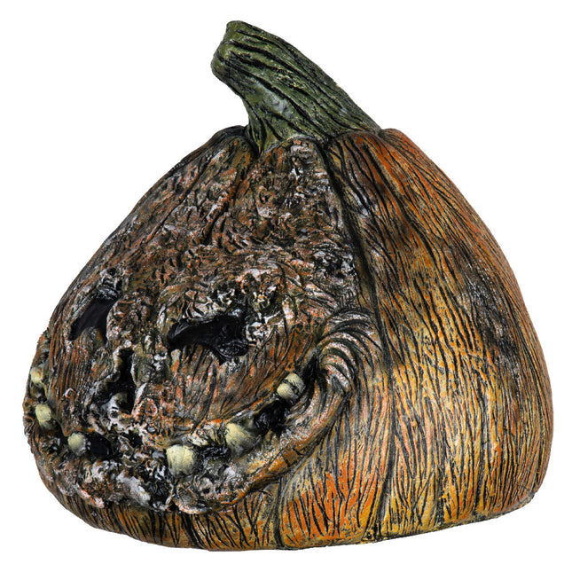 Rotten Pumpkin 4- angled view