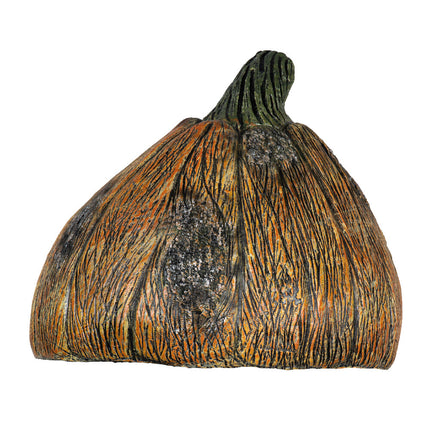 Rotten Pumpkin 4- back view